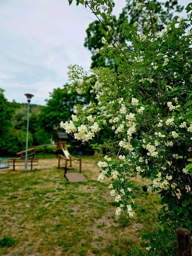 Smoldzinskie Zacisze Smołdzino Exterior foto